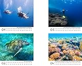 Buceo Calendario de mesa 10 cm x 10 cm para 2026 bajo el agua y buceo Seelenzauber