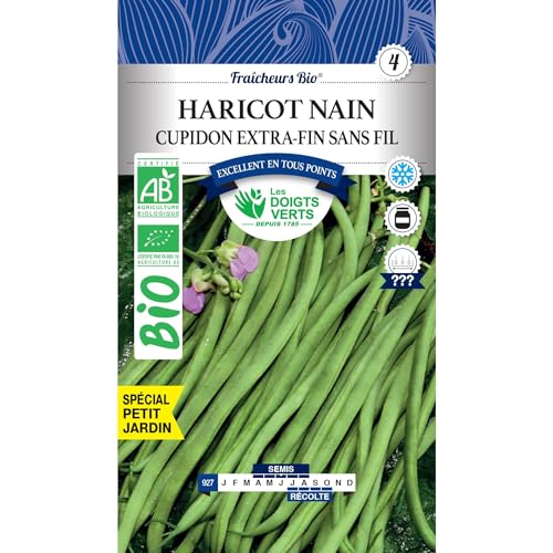 Les doigts verts Graines Haricot Nain Cupidon Bio 30g
