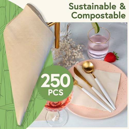 Jenvita Everyday 100% Bamboo Compostable Napkins Disposable 250-Pack | Table Napkins Disposable for Lunch, Dinner,Events & Entertaining | 2-Ply FSC Certified | Compostable Paper Towels | 6.5 x 6.5Inch