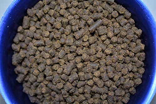 AQUATICBLENDEDFOODS ABF Gourmet Axolotl Soft Food PELLETS 4.0mm - ABF5 (16oz - 1 LB.)- Heat Sealed for Freshness - 24HR Ship