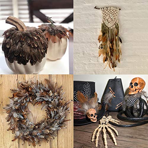 180Pcs 9 Styled Natural Feathers Assorted Mixed Feathers For Jewelry And Dream Catcher Crafts #TOP5