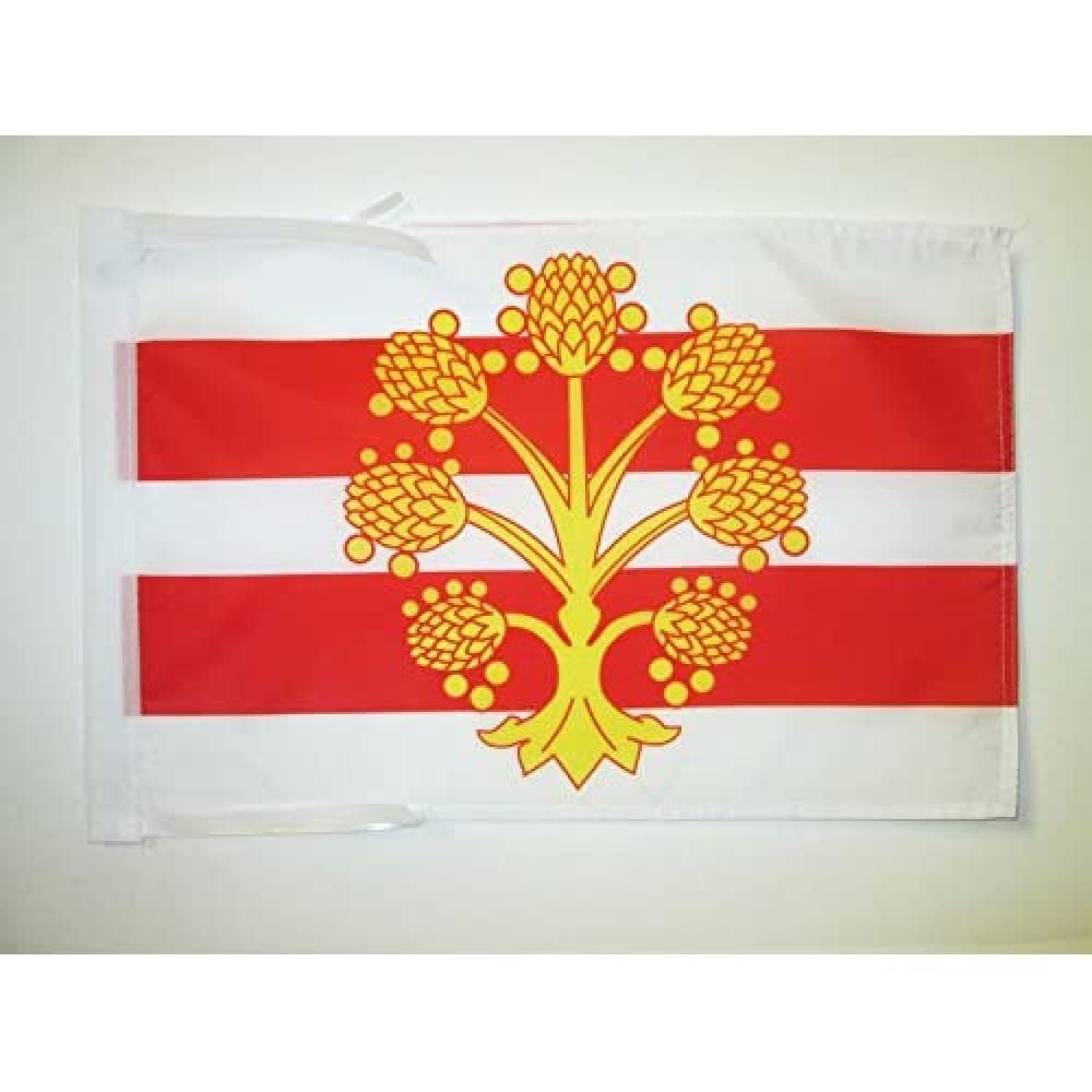 Iran Old Persia Flag 18'' x 12'' cords - Persian SMALL flags 30 x 45cm - Banner 18x12 in - AZ FLAG — view 105