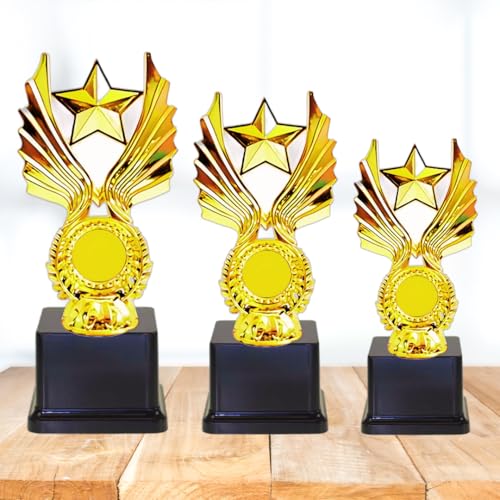 Wings Trophy 1st 2nd 3rd Trophy Set || Excellence Award for Winne...
