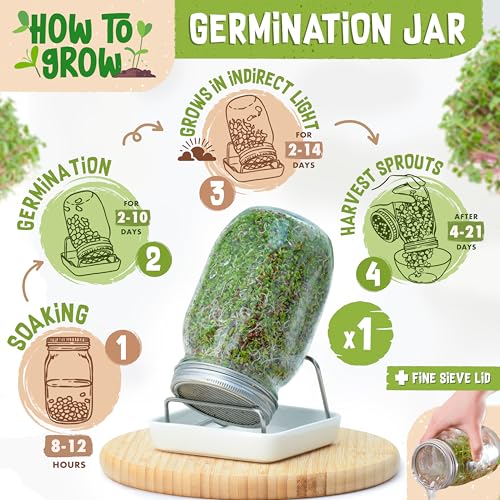 ZenGreens® Eko zestaw do uprawy kiełków – Słoik do kiełkowania, zestaw 1, 2 lub 3 szt. – Zawiera słoik, tackę do uprawy i nasiona na kiełki – w zestawie poradnik oraz kurs wideo online