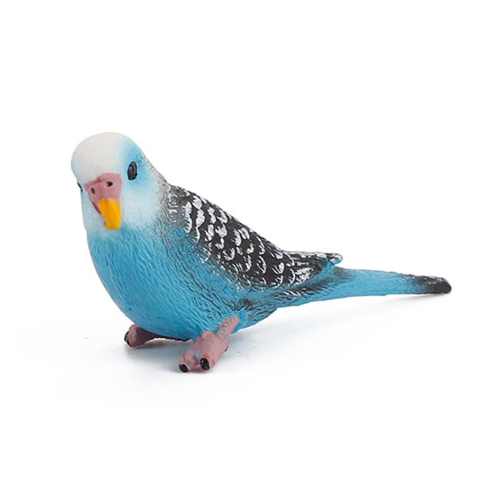 Amazon | EUHELOPA オウム フィギュア 動物 おもちゃ プラモデル