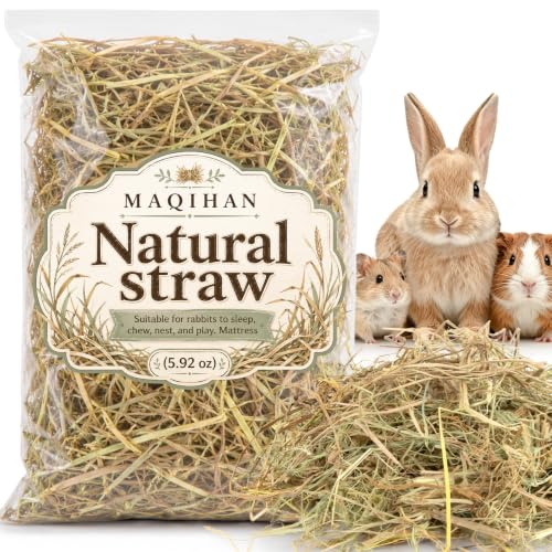 MAQIHAN Natural Straw for Small Animals Bedding - Dry Straw Garden Straw Animal Hay Bedding Nest Chaw Toy Bed Sleeping Chewing Nesting and Toys for Rabbits Bed Mat (5.92 Ounces)