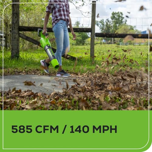 Image of Greenworks 48V Electric Leaf Blower, 585 CFM, (2) 4.0 Ah Batteries, Charger