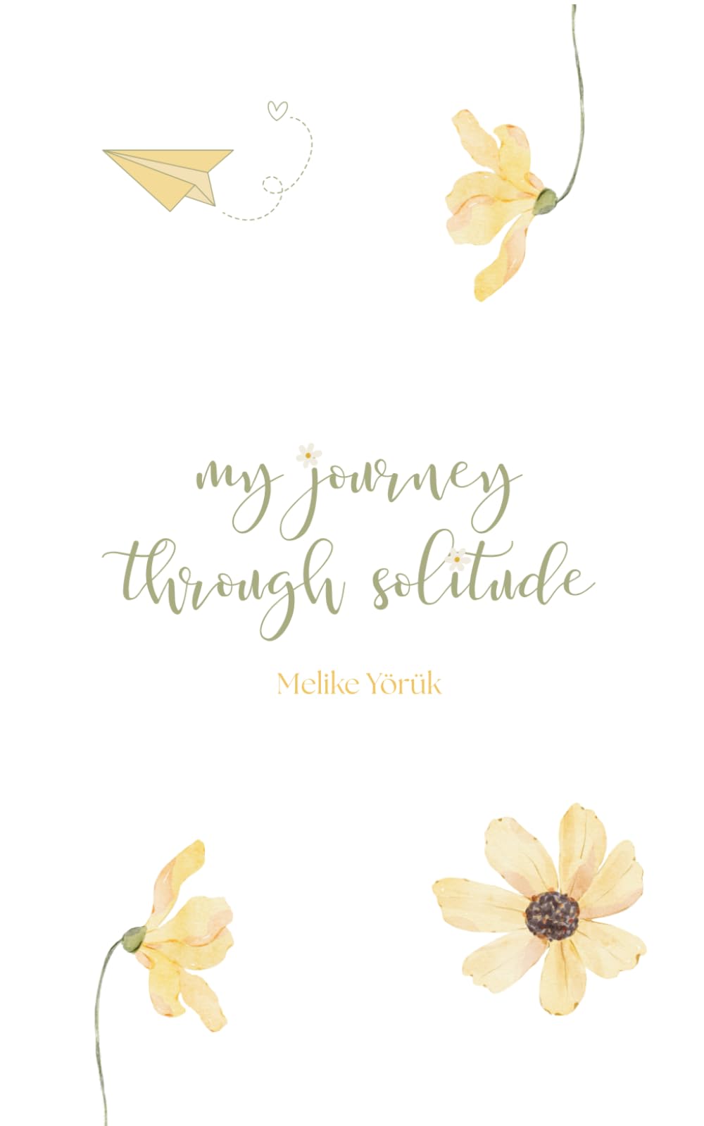 My journey through solitude