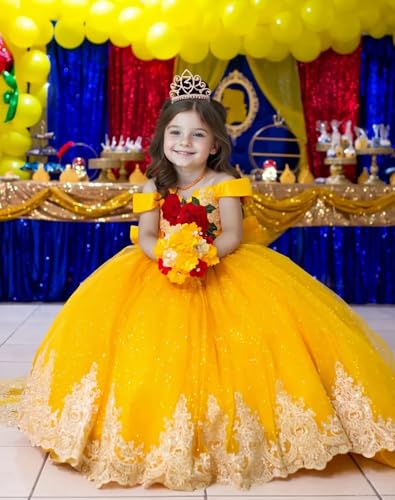 Applique Puffy Kids Flower Girl Dresses with Train Formal Ball Gowns Sparkly Satin Pageant Dress for Girls2