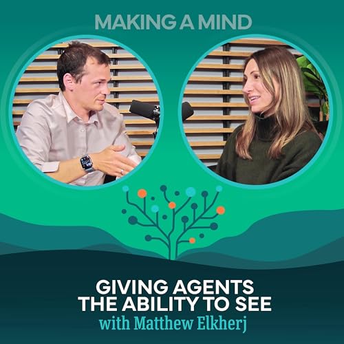 Giving Agents the Ability to See with Matthew Elkherj