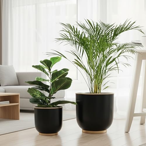 Image of Metal Planters Set of 2 Black (28 cm & 23 cm) with Drain Hole | Large Indoor Plant Pots for Living Room Balcony Office | Modern Decorative Metal Planters for Home Decor