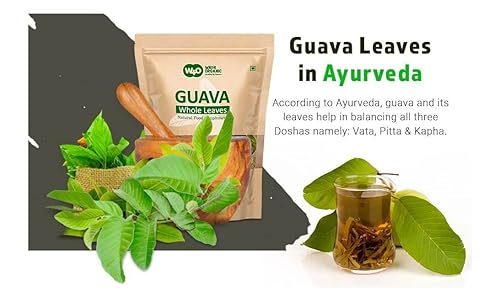 Miniatura 3 de Hojas secas enteras de guayaba 265 onzas 265oz té de hojas sueltas 100 hojas puras