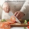 KnifeSaga Kitchen Knife Set with Block and Detachable Sharpener | 8-Piece High Carbon Stainless Steel Knife Block Set, Fully Forged Blades & Compact Design