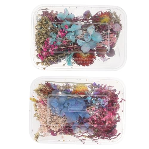 Mini flores secas variadas prensadas naturales para manualidades miniatura 1