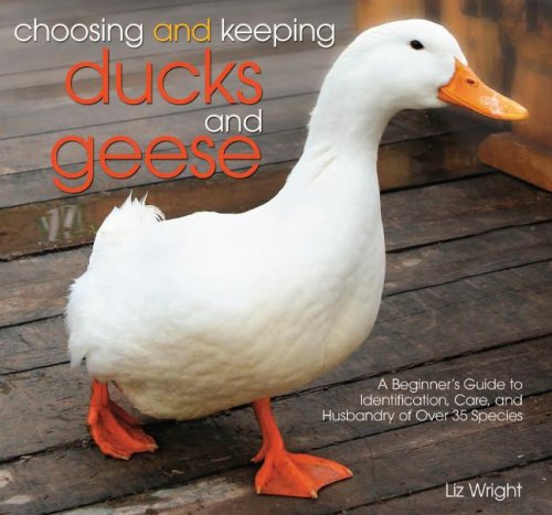 Choosing and Keeping Ducks and Geese: A Beginner's Guide to