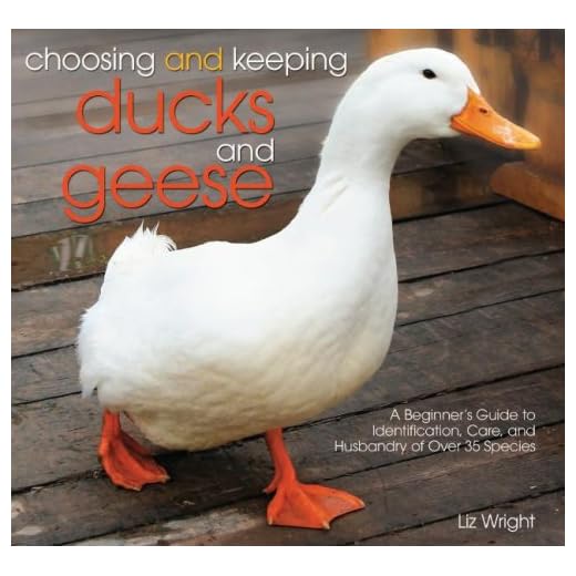 Choosing and Keeping Ducks and Geese: A Beginner's Guide to Identification, Care, and Husbandry of over 35 Species