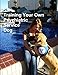Training Your Own Psychiatric Service Dog