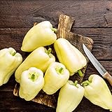 Todas las semillas de pimiento son frescas y tratado con la más alta calidad y cuidado meticuloso. Semillas de alta calidad no GMO, no híbridas.