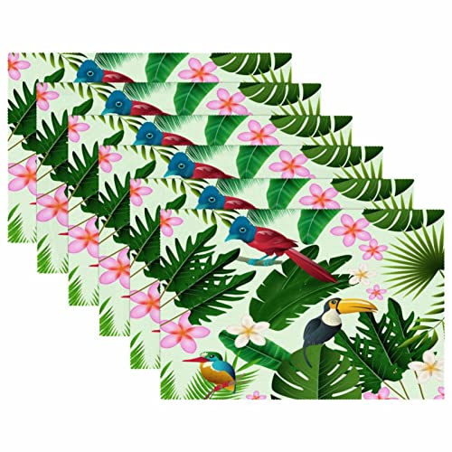 Set de table vert toucan tropical antidérapant grand format rectangulaire x6 - 6