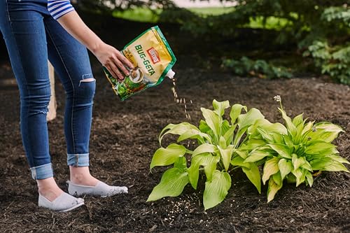 Image of Ortho Bug-Geta Snail & Slug Killer2 - Slug Bait and Pest Control Stays Effective After Rain or Sprinkling For Up to 3 Weeks, 6 lb.