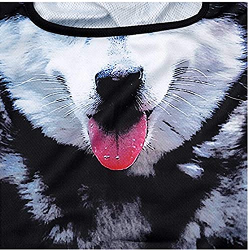Image of Cat Balaclava,Dog Balaclava,Halloween Hat,Cute Full Face Hood Mask Animal Ski Mask for Hiking Riding Sports Outdoor