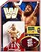 WWE Daniel Bryan Retro App Action Figure