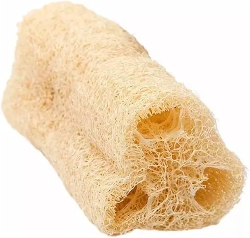 Kit 5 Esponja Bucha Vegetal Natural de Banho