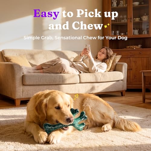 Image of Frienhund 2-Pack Tough Dog Chew Toys for Aggressive Chewers, Beef, 20-90 Lb