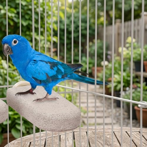 3er Set Wellensittich Zubehör, Natürliches Beschäftigungsspielzeug mit Kalkstein Sitzstangen, Einfache Montage im Vogelkäfig, Geeignet für Wellensittiche und Nymphensittiche