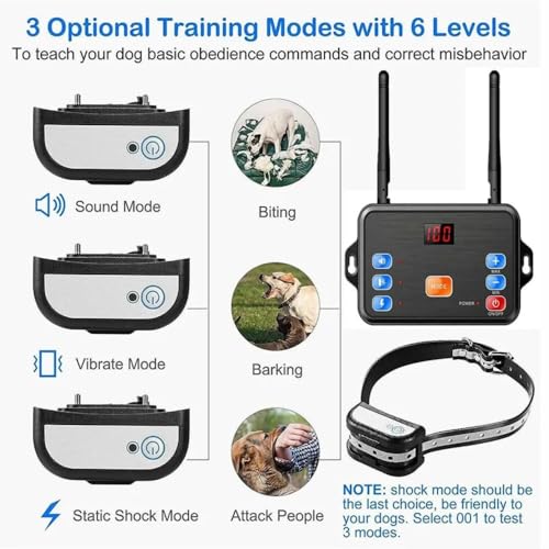 Utilisation sur le terrain avec chien