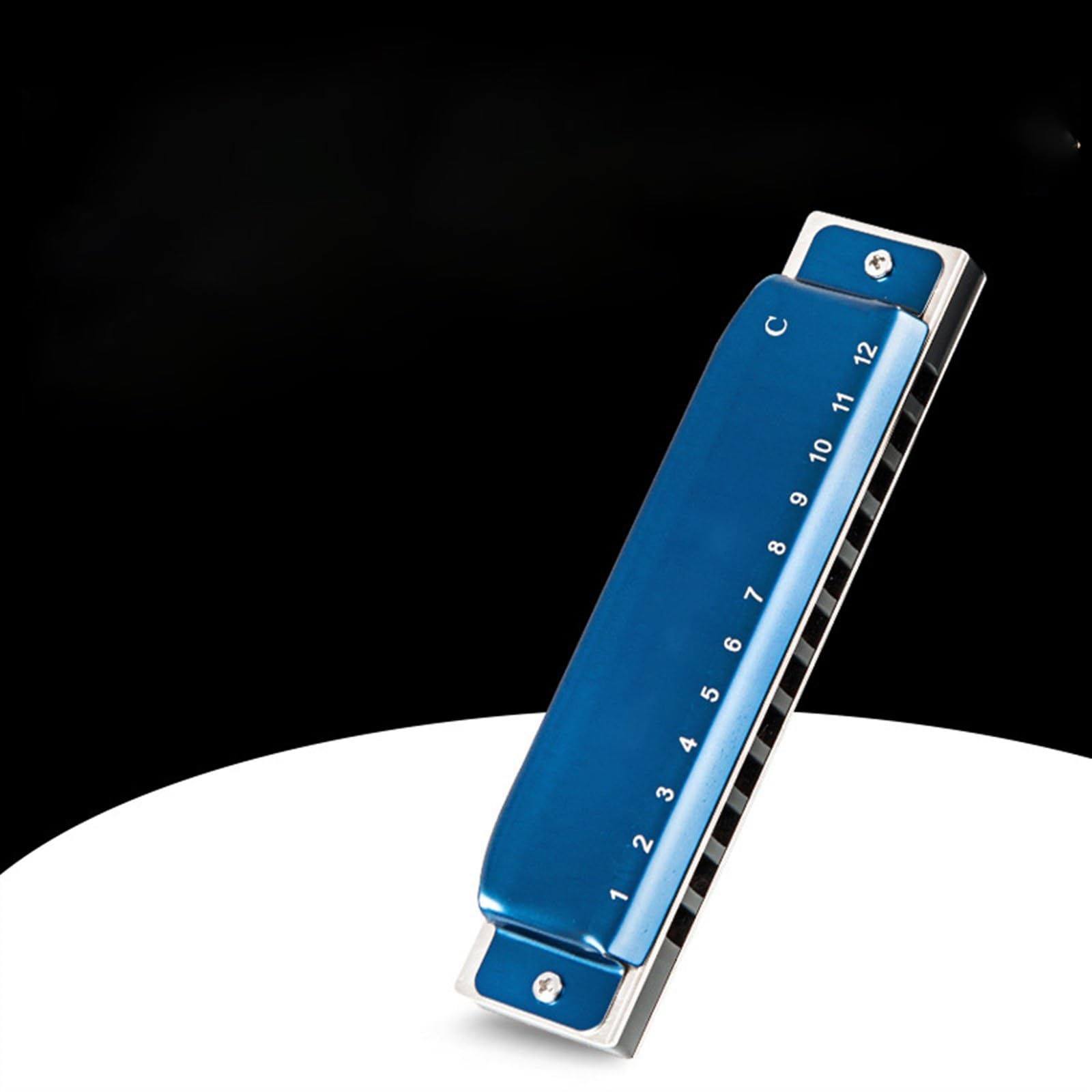 Armonica A Bocca Professionale Armonica Blues Professionale A 12 Fori Armonica In Acciaio Inox Strumento Per Principianti Adulti