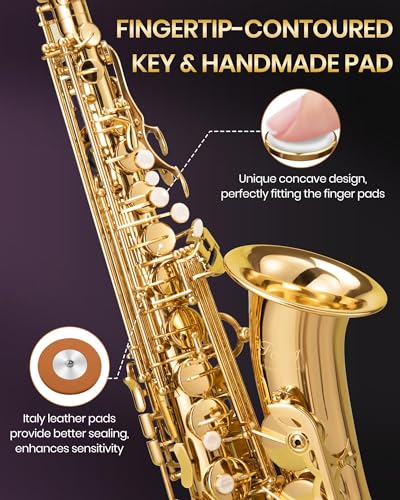 fesley saxophone e flat alto saxophone saxofn alto for professional sax for beginners amp students saxophones with reeds neck strap sax case amp portable cleaning kit gold