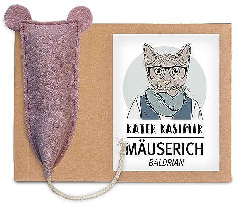Katzenspielzeug Set – 20-teiliges XXL-Set Mit Angel, Mäusen, Tunnel & Bällen Zur Beschäftigung