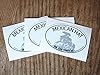 Mexican Hat Utah White Oval Bumper Sticker - Monument Valley UT Vinyl Decal - 3" Southwest ADV & RV Stickers #4
