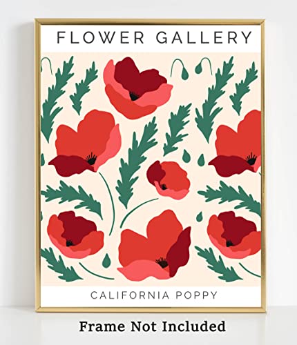 Westbrook Design Studio Flower Market Poppy Wall Art Prints - 11X14 Unframed Modern Abstract Floral Decor In Shades Of Red, Pink & Green On White. Flower Gallery No.20 #TOP3