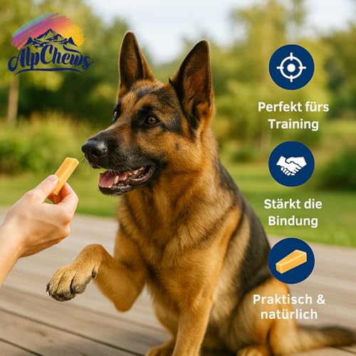 Alp Chews Hartkäse für Hunde – Extra Large 2 Stück – Natürlicher Kauknochen – Kaukäse zur Zahnpflege & Langen Kaudauer
