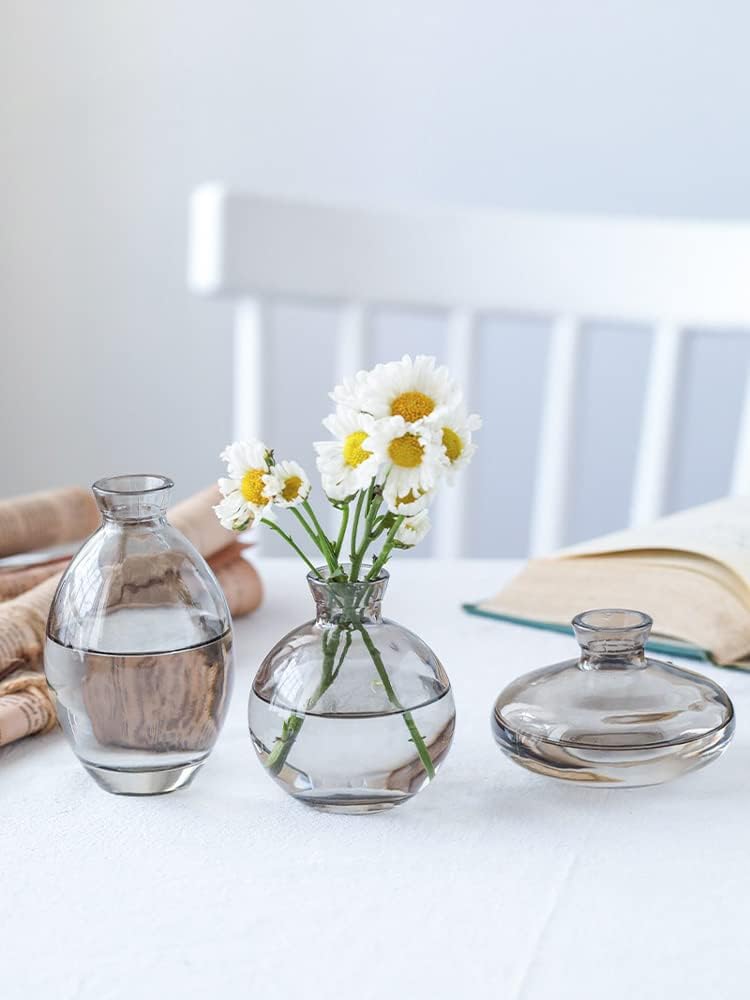 Modern Decorative Mini Flowers Vases, Glass Bud Vase Set of 3, Cute Small Clear Vases, Handmade Glass Flower Vase for Floral Arrangements, Tiny Centerpiece for Home Office Wedding Party(gray)