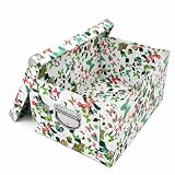 GUOZI Collapsible Memory Box