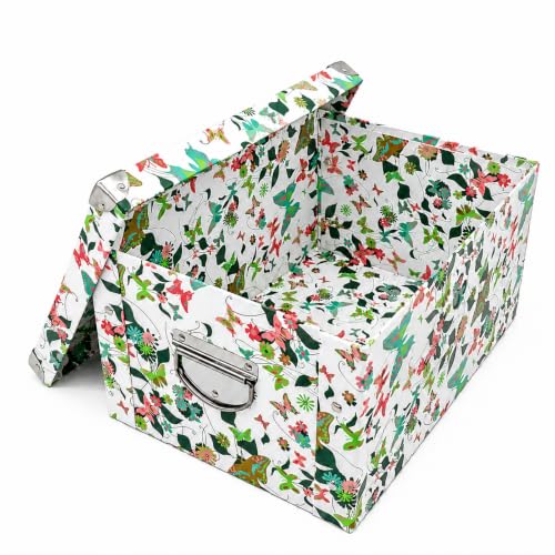 Collapsible Butterfly File Bin