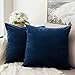 MIULEE Lot de 2 Housses de Coussins en Velours Décoratif Canapé Taie d'oreiller Super Lisse Doux Confortable Decoration Maison Salon Chambre pour Canapé 50X50CM Bleu Foncé