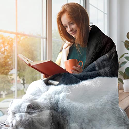 Couverture en peluche microfibre douce motif chats finitions de qualité