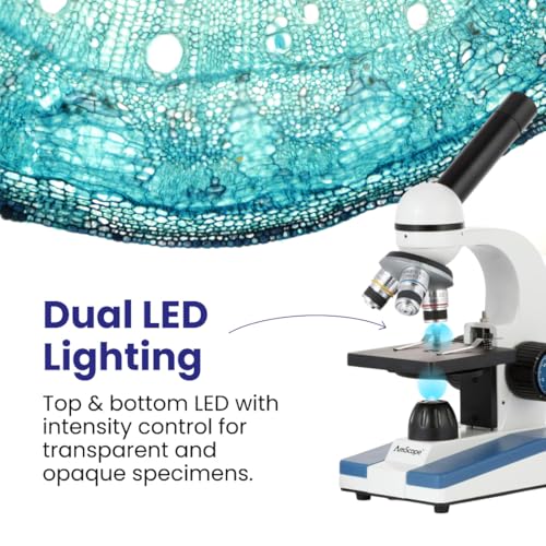 Trinocular Compound Microscope for Lab