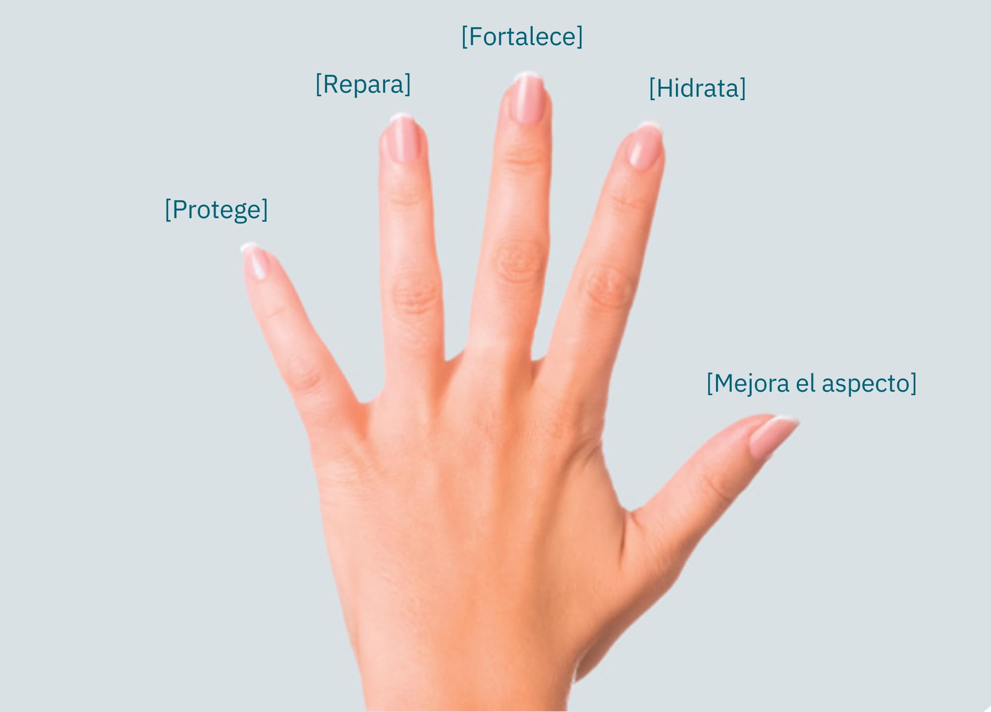 Betalfatrus, Laca Ungueal - Tratamiento para las unas remineralizante y reestructurante, 1 Frasco de 3.3 ml con aplicador