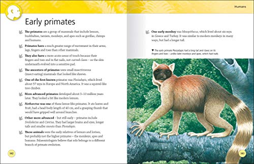 Encyclopedia of Dinosaurs and Prehistoric Life