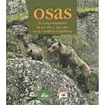 Osas, el comportamiento de las osas y sus crías en...: 