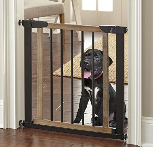 play gate for dogs