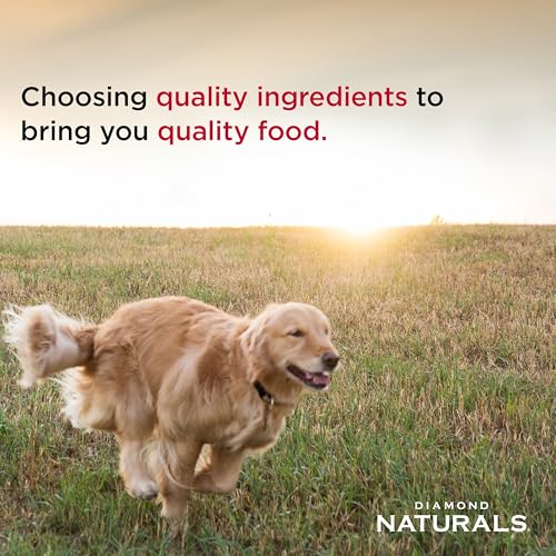 Image of Diamond Naturals Small & Medium Breed Puppy High Protein Chicken & Rice Dry Dog Food 18lb