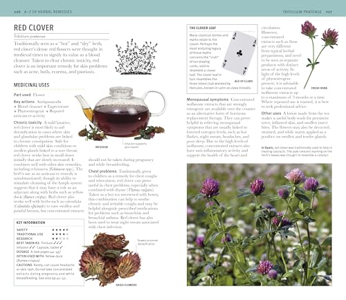 Herbal Remedies Handbook: More Than 140 Plant Profiles; Remedies for Over 50 Common Conditions - Image 5