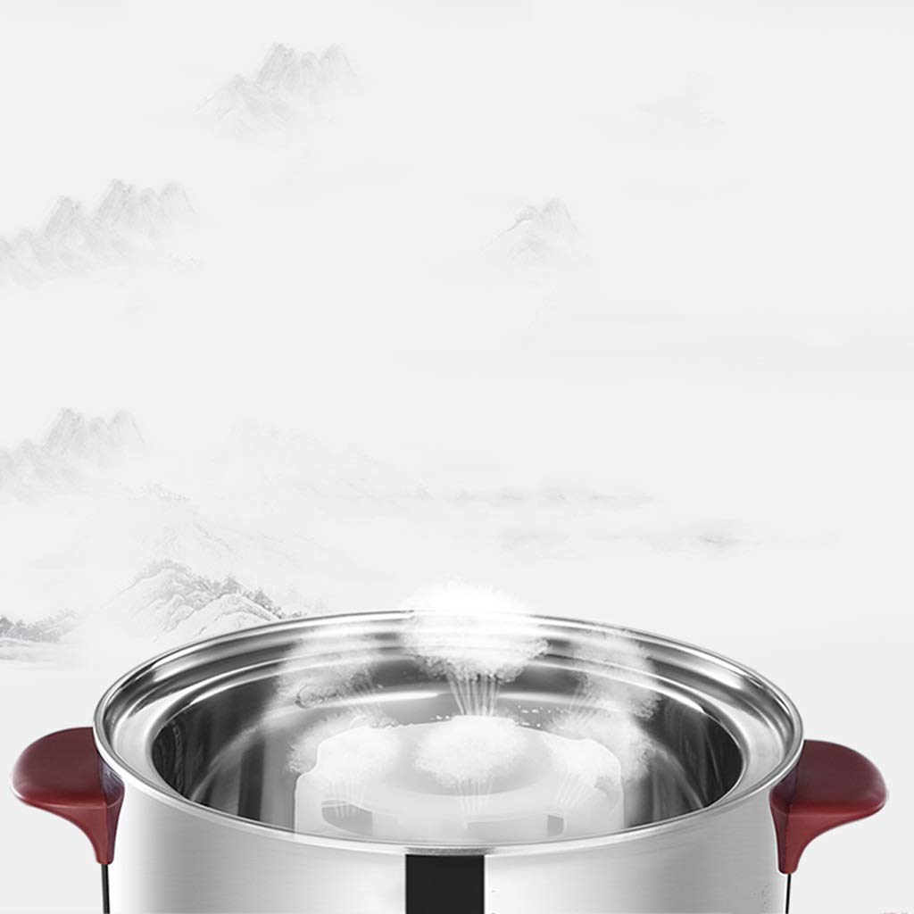 Vaporera multifunción for el hogar, vaporera pequeña de Acero Inoxidable de Gran Capacidad, Apagado automático, Verduras al Vapor Multicapa