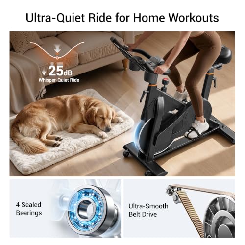 CURSOR Exercise Bike,Magnetic Stationary Bikes for Home,0-100 Resistance - image 8